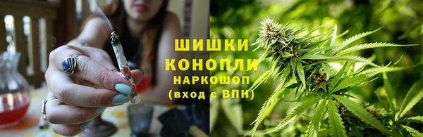 прущие крисы Зерноград